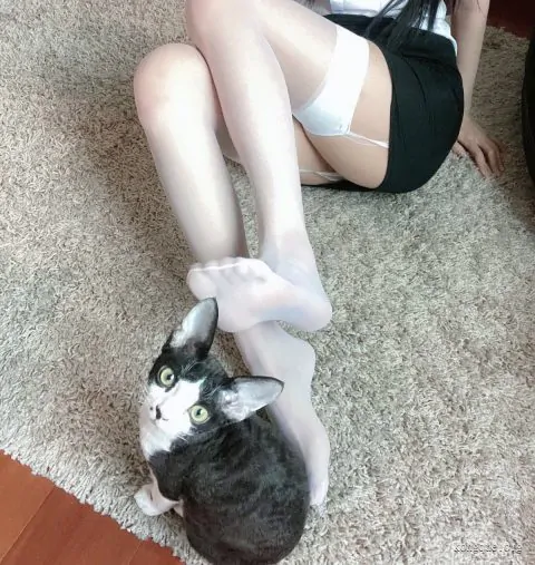 图片[10]-51酱 – 全套19期&随包视频-绅士精选